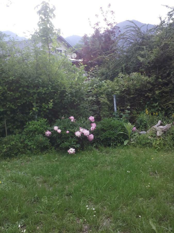 Ferienwohnung Karin Humer Bad Ischl Exterior photo
